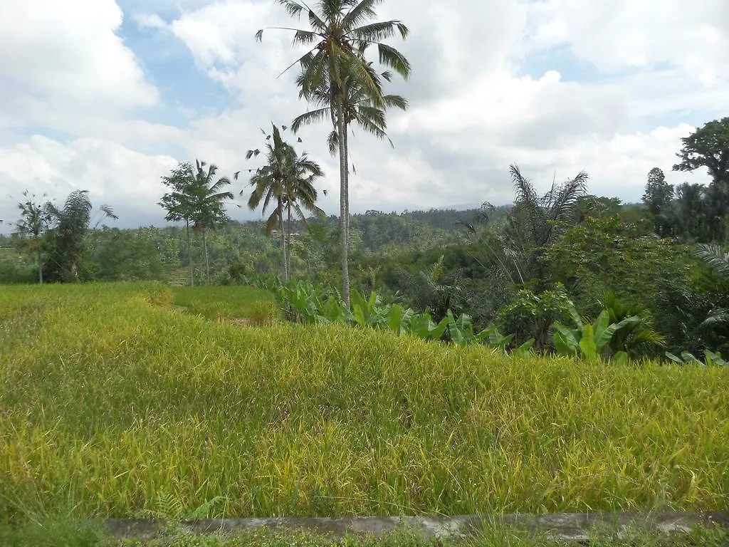 Senetan Villas And Spa Resort Ubud  0*, Ubud (Bali) Indonesia