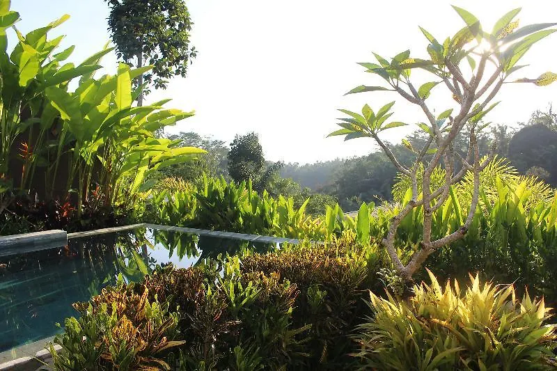 Senetan Villas And Spa Resort Ubud
