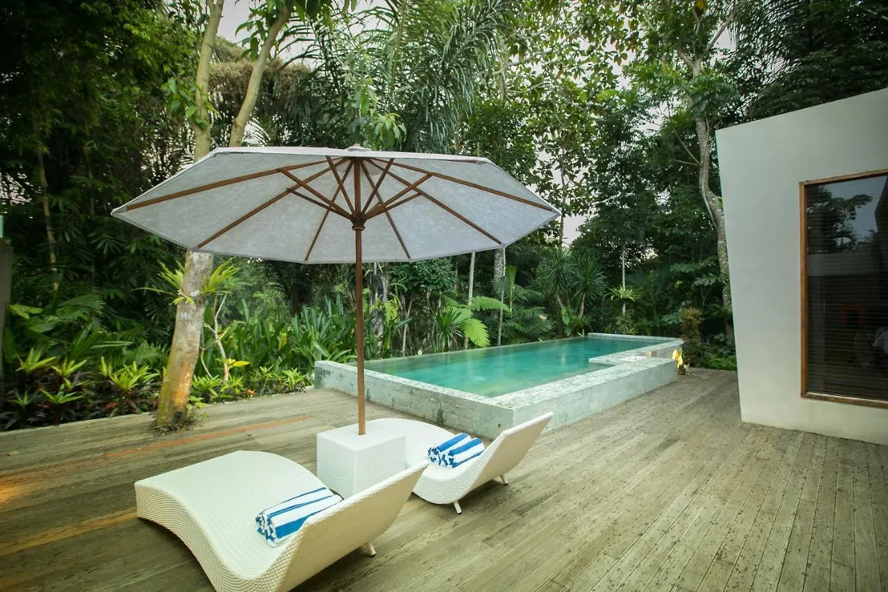 Senetan Villas And Spa Resort Ubud  Indonesia